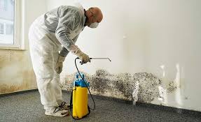 Best Mold Remediation for Vacation Homes  in Lost Hills, CA